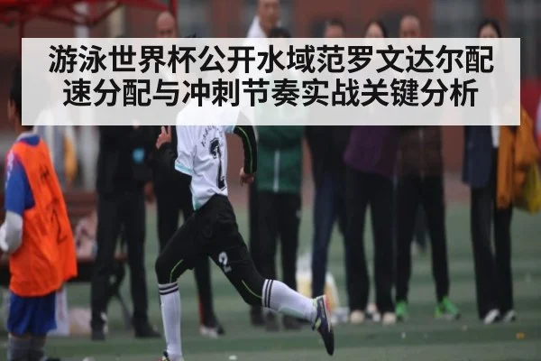 游泳世界杯公开水域范罗文达尔配速分配与冲刺节奏实战关键分析