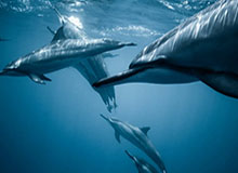 星空体育-兰帕德：压力源自我们自己 病例激增足球退居次要